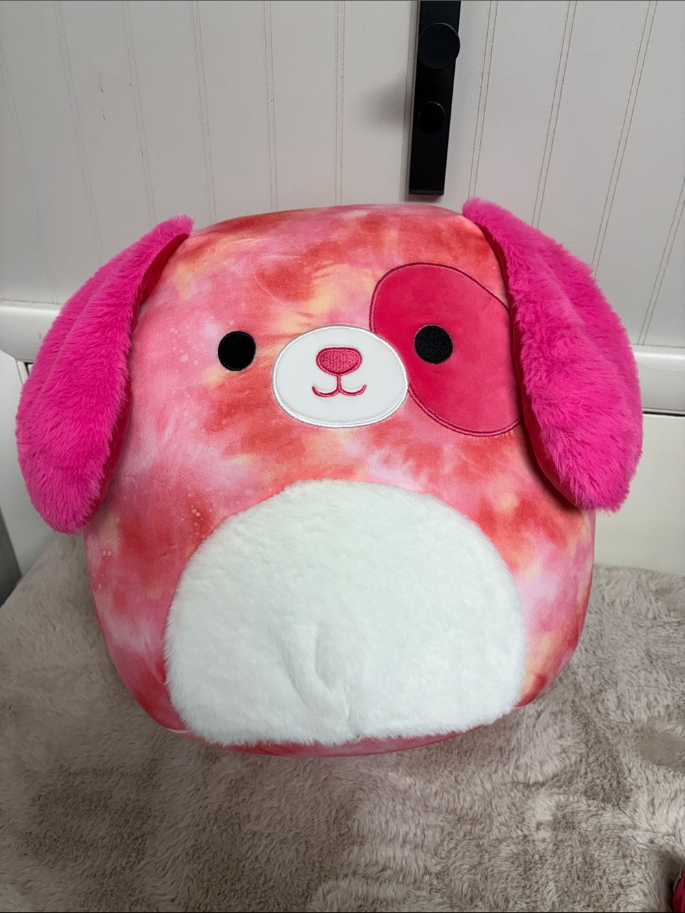 NWT Squishmallow Dog - Detina